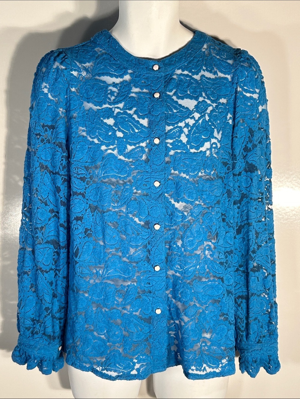 Pretty Garden NWT SZ L Blue Lace Blouse Romantic Feminine Boho Dressy Coquette